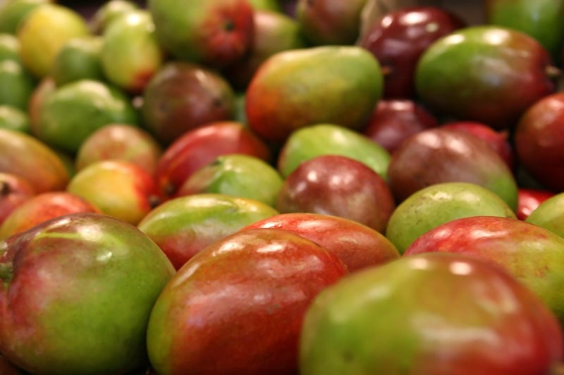 Fresh ingredients