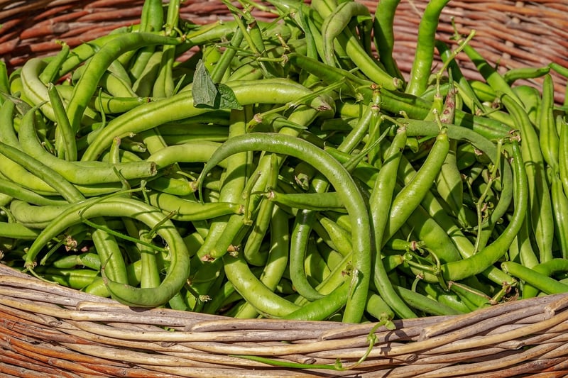 Legumes