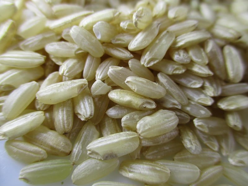Mushroom Risotto
